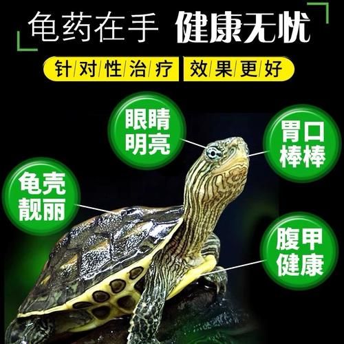 乌龟白眼病怎么治(什么眼药水效果最好)