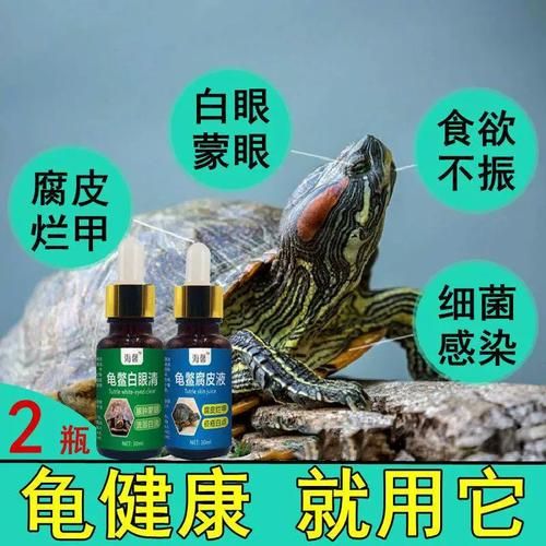 乌龟白眼病怎么治疗( 如何才能彻底根治)