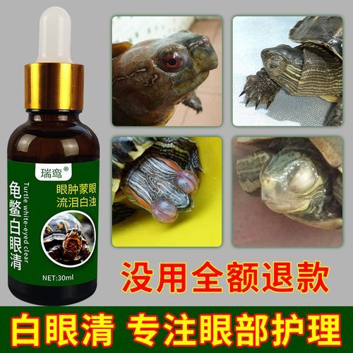 乌龟白眼病治疗(哪些方法最有效)