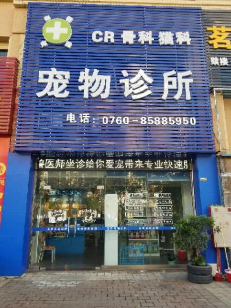 乐山宠物诊所( 哪个宠物诊所看病比较专业)