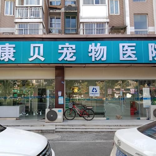 乐山宠物诊所( 哪个宠物诊所看病比较专业)