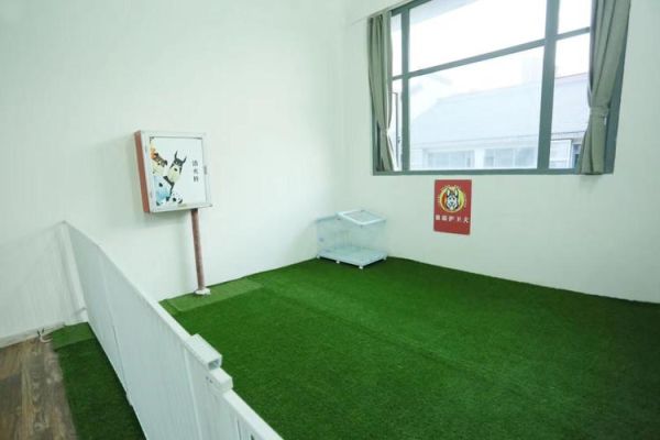 九江犬业(他们的犬舍环境怎么样)