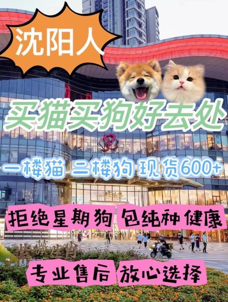 买狗网(买狗网保障你的权益)