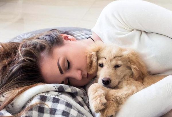 人与狗狗可以同睡吗(真的会影响睡眠吗)