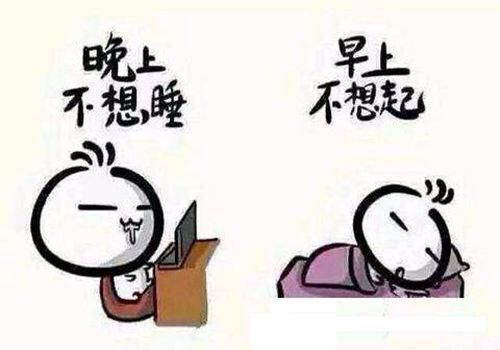 什么动物天天熬夜( 你猜到答案了吗)
