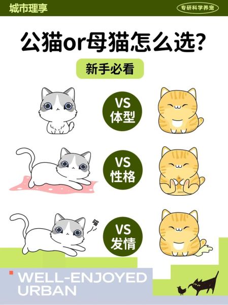 什么母动物最适合男生(公猫好还是母猫好)
