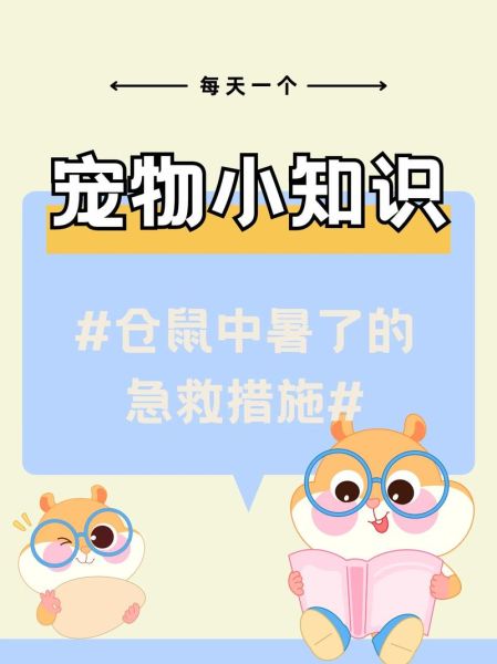 仓鼠中暑怎么办(应该怎么判断它是否中暑)