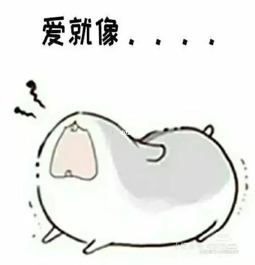 仓鼠装死(还是在玩小聪明)