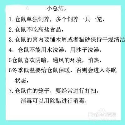 仓鼠饲养八大禁忌( 仓鼠喝水有什么讲究)