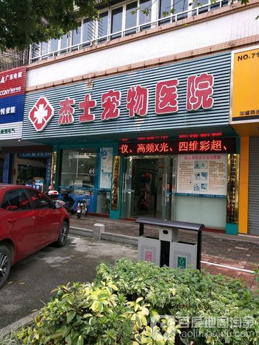 佛山宠物医院( 佛山哪个宠物医院更适合)