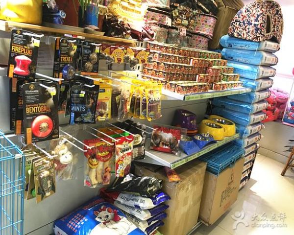 佛山宠物用品批发市场( 佛山宠物市场周末有人吗)