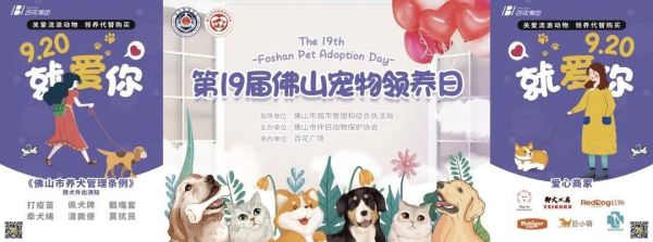 佛山宠物领养(领养后需要注意什么)