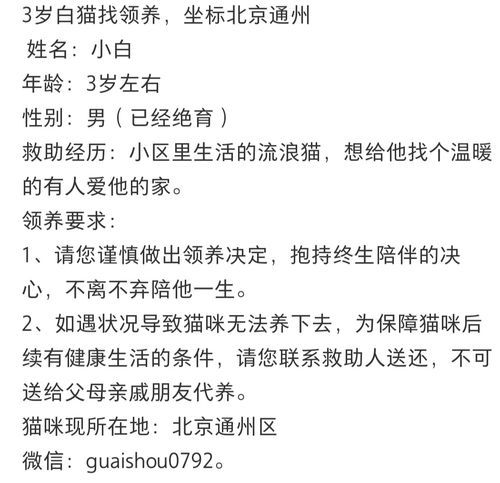 佛山宠物领养(领养后需要注意什么)