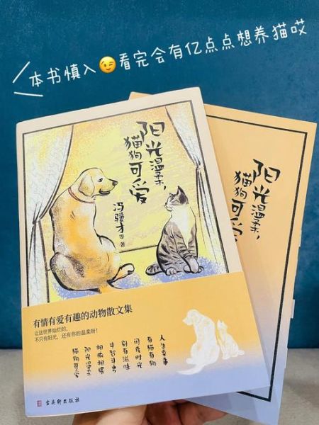 俗话说猫有九条命( 它们真的能起死回生吗)
