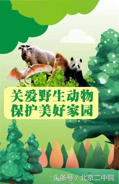 保护濒危动物(共建美好家园)