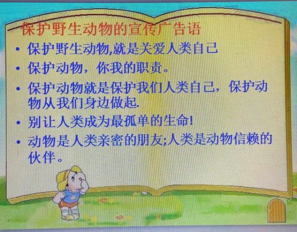 保护野生动物的意义(它们可是维系生态平衡的关键啊)