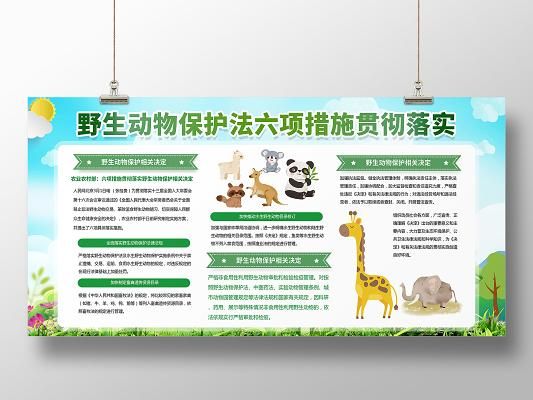 保护野生动物的意义(它们可是维系生态平衡的关键啊)