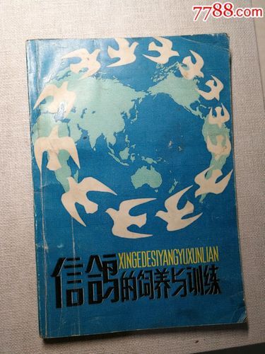 信鸽的饲养与训练(从哪一步开始起步)