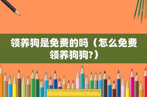 免费领养狗狗(你真的了解它吗)
