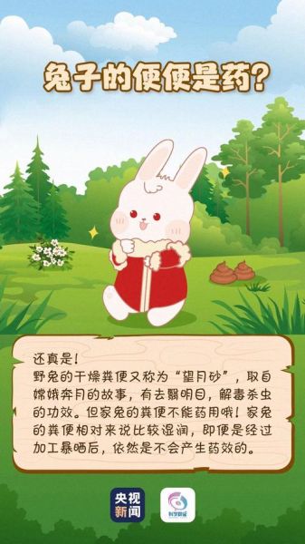兔子吃什么( 哪些食物兔子不能吃)