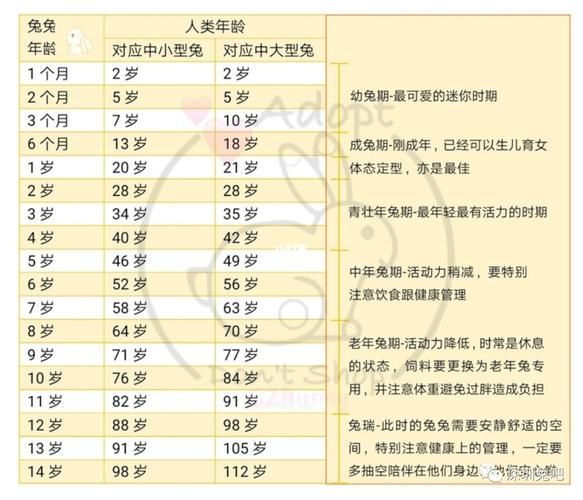 兔的寿命( 寿命长短有啥秘诀)