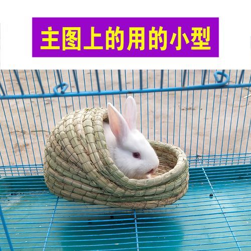兔窝(快来了解一下)