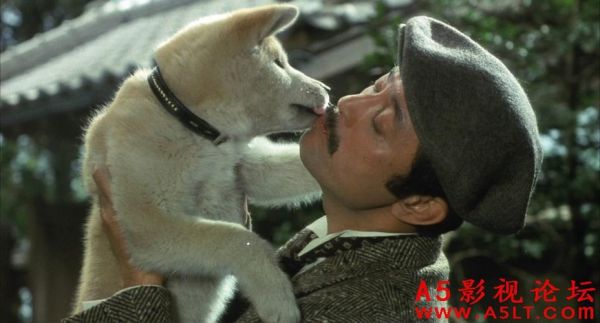 八公犬物语(它等待了多少年)
