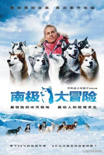 关于狗狗的感人电影( 你是否也相信狗狗的忠诚)