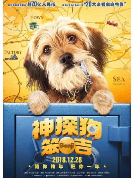 关于狗狗的电影(它带给了你什么感悟)