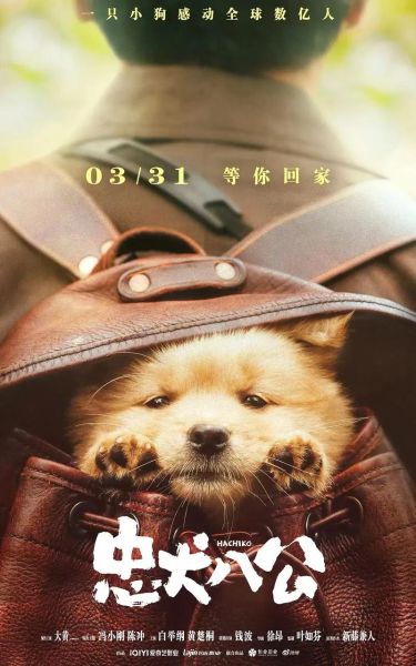 关于狗的感人电影(你最喜欢哪一部)