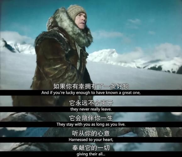 关于雪橇狗的电影(还是友谊故事)