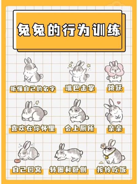 养兔知识( 怎么才能让兔子长得快)