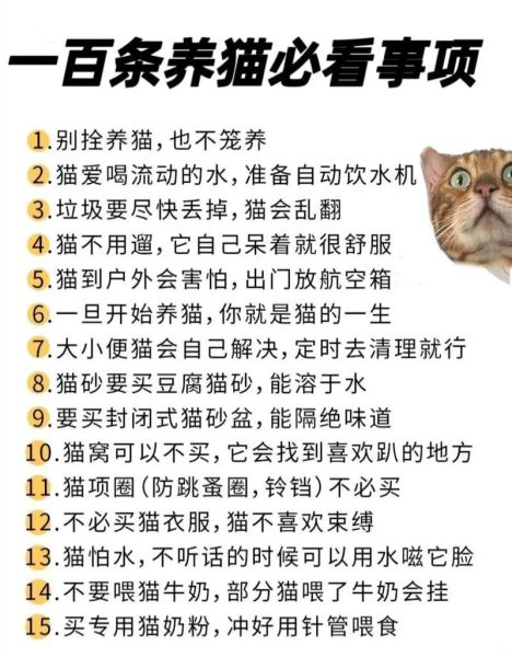 养宠物(你会负责到底吗)