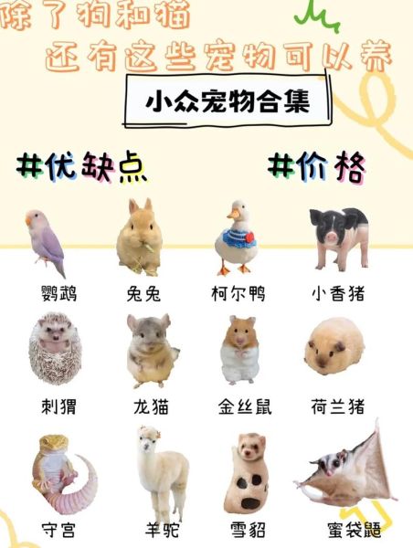 养宠物的利弊(养宠物是不是明智的选择)