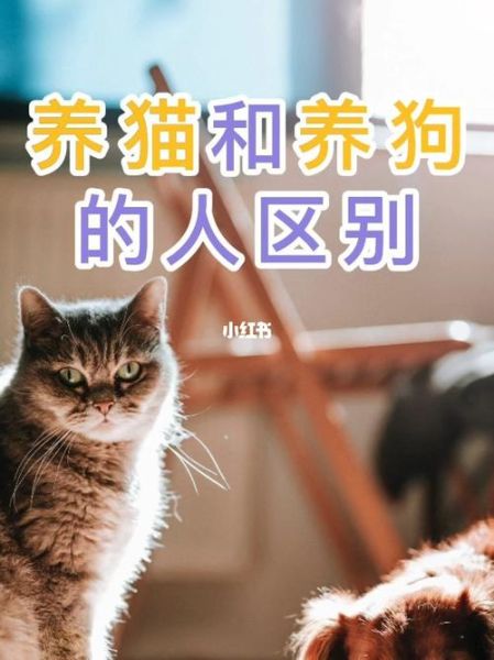 养宠物的利弊(养宠物是不是明智的选择)