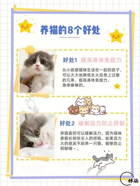 养宠物的好处(养个宠物每天都活力满满)