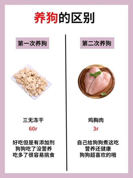 养狗技术(你真的会养狗吗)