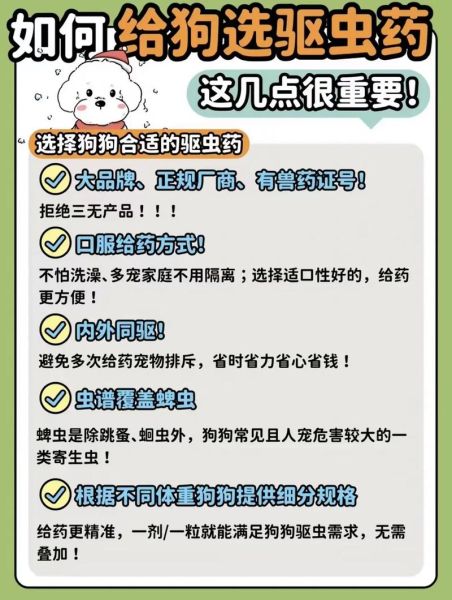 养狗注意事项( 养狗之前要做好哪些心理准备)