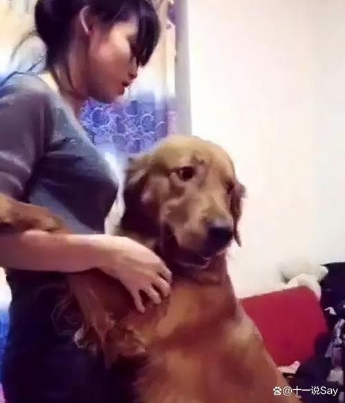 养狗的女人不能娶(她们的魅力难道不值得欣赏)