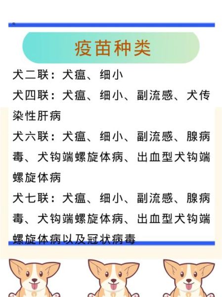 养狗知识( 打完疫苗后狗狗就安全了吗)