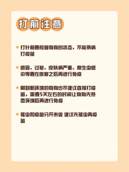 养狗知识( 打完疫苗后狗狗就安全了吗)