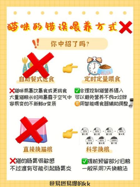 养猫好吗(养猫能做到吗)