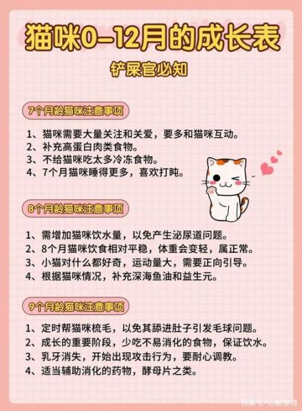 养猫注意事项(怎么判断是轻微的还是需要去医院)
