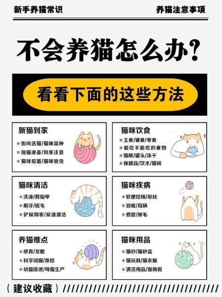 养猫注意事项(怎么判断是轻微的还是需要去医院)