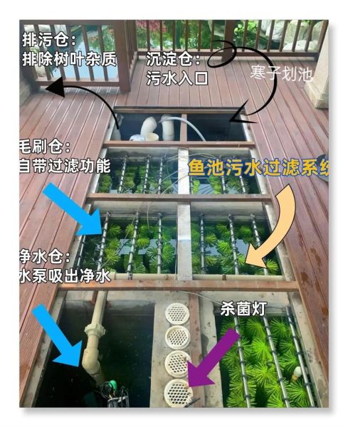 养观赏鱼的过滤方法( 到底该用什么过滤材料)