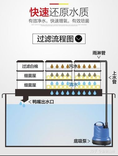 养观赏鱼的过滤方法( 到底该用什么过滤材料)