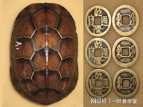 养龟与风水(如何选择合适方位)