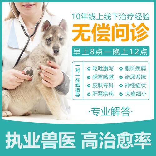 兽医专家在线咨询(在线咨询兽医专家吧)