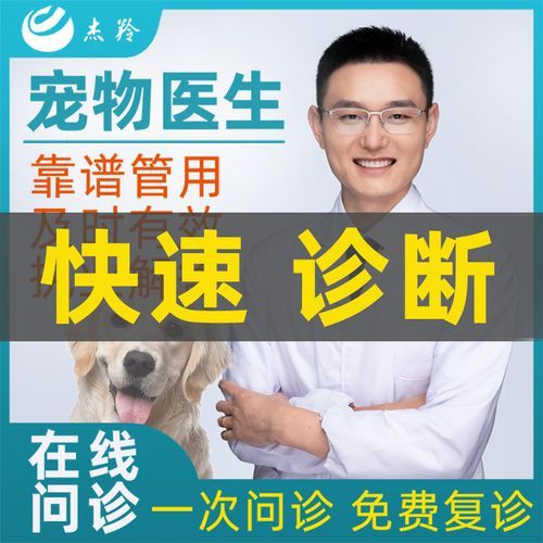 兽医咨询( 怎么选靠谱的平台)