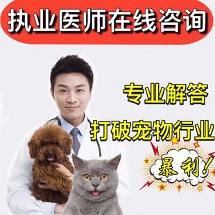 兽医在线qq咨询(该去医院还是在线咨询兽医)